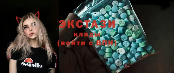 гидра Горняк