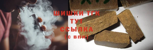 тгк Гусев