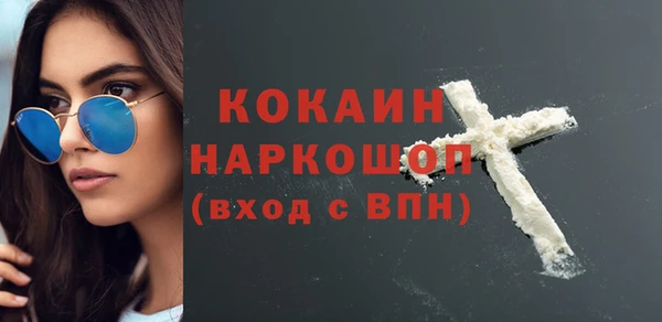 гидра Горняк