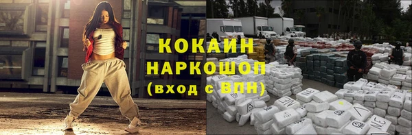 гидра Горняк